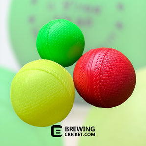 Plastic Balls - Training Balls