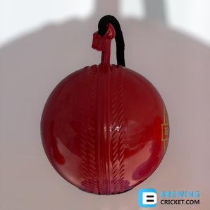 EM/ DSC Cordy Seamer/Hanging Ball - Training Balls