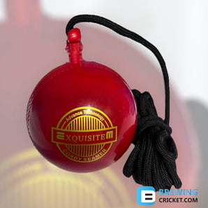 EM/ DSC Cordy Seamer/Hanging Ball - Training Balls