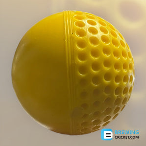 Leverage Reverse Swing Ball - Training Balls